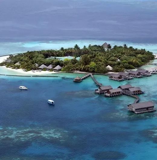 image-https://maldivus.ru/media/hotels/63/image/520x530/gangehi-island-resort-spa-5-hotel-27512.webp