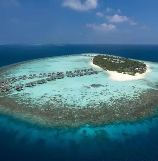 image-https://maldivus.ru/media/hotels/7/image/520x530/amari-havodda-maldives-5-hotel-18588.webp