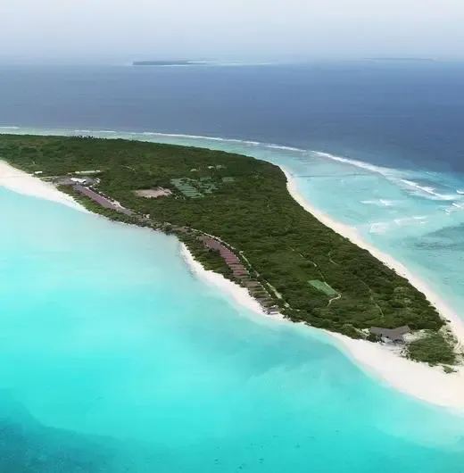 image-https://maldivus.ru/media/hotels/71/image/520x530/hondaafushi-island-resort-4-hotel-96801.webp