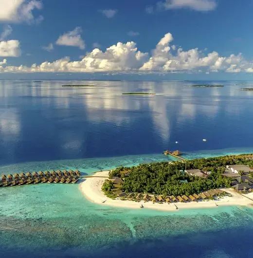 image-https://maldivus.ru/media/hotels/85/image/520x530/kudafushi-resort-spa-5-hotel-54652.webp