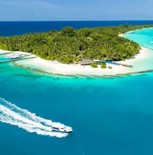 image-https://maldivus.ru/media/hotels/86/image/520x530/kuramathi-maldives-4-hotel-83517.webp