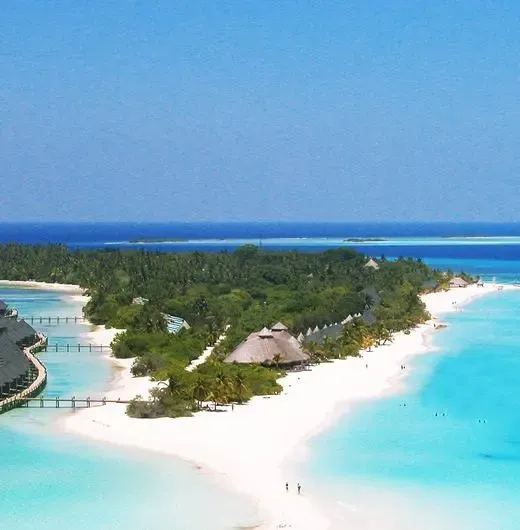 image-https://maldivus.ru/media/hotels/87/image/520x530/kuredu-resort-spa-4-hotel-32015.webp