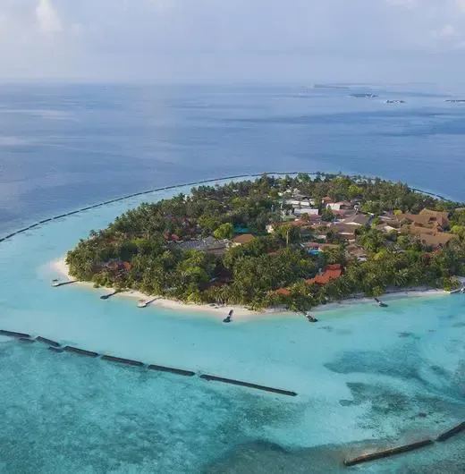 image-https://maldivus.ru/media/hotels/88/image/520x530/kurumba-maldives-5-hotel-16904.webp