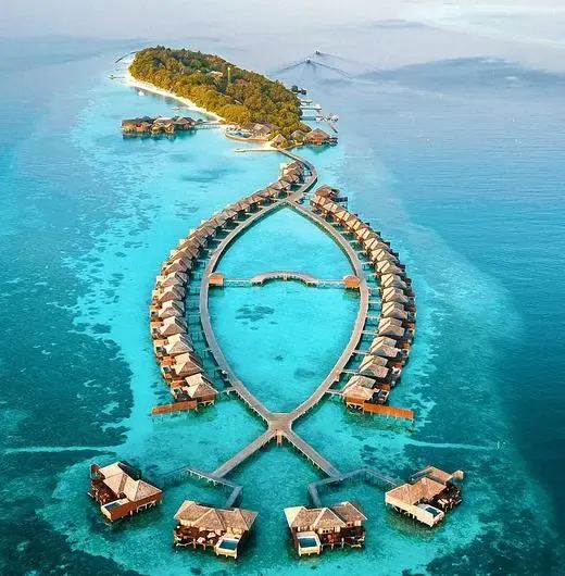image-https://maldivus.ru/media/hotels/89/image/520x530/lily-beach-resort-spa-5-hotel-62117.webp