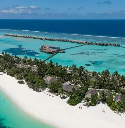 image-https://maldivus.ru/media/hotels/92/image/520x530/lux-south-ari-atoll-5-hotel-59910.webp