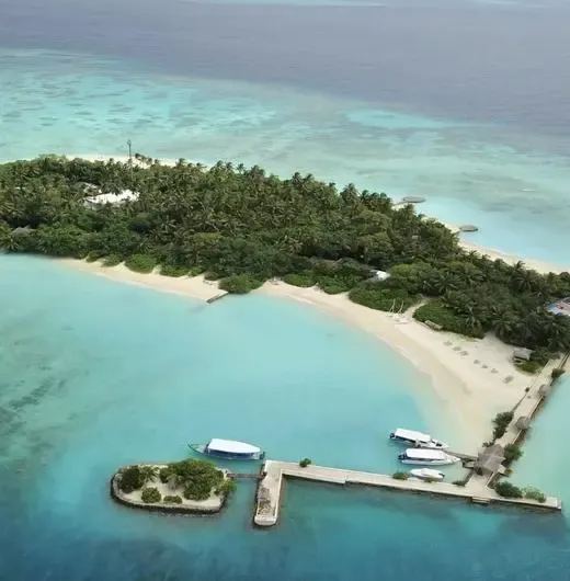 image-https://maldivus.ru/media/hotels/93/image/520x530/makunudu-island-4-hotel-43101.webp