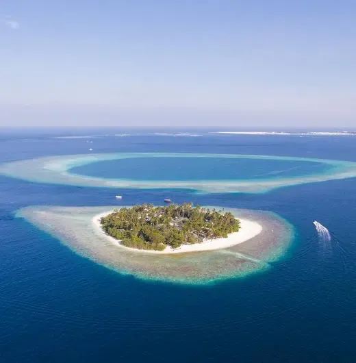 image-https://maldivus.ru/media/hotels/94/image/520x530/malahini-kuda-bandos-resort-4-hotel-1445.webp