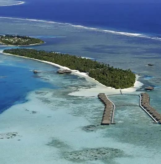 image-https://maldivus.ru/media/hotels/95/image/520x530/medhufushi-island-resort-5-hotel-59280.webp