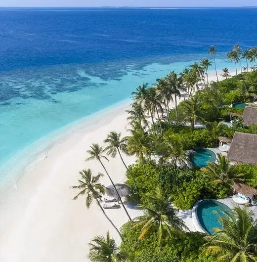 image-https://maldivus.ru/media/hotels/97/image/520x530/milaidhoo-island-maldives-5-hotel-81760.webp