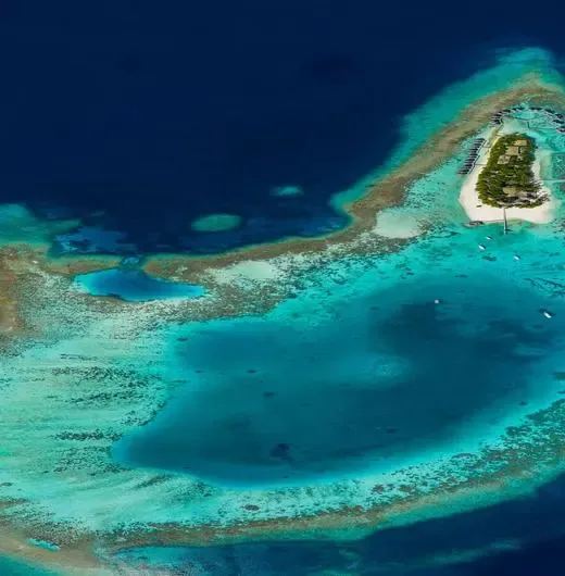image-https://maldivus.ru/media/hotels/98/image/520x530/mirihi-island-resort-5-hotel-69533.webp