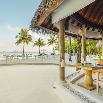 image-https://maldivus.ru/media/restaurants/105/image/400x400/-restaurant-53331.webp