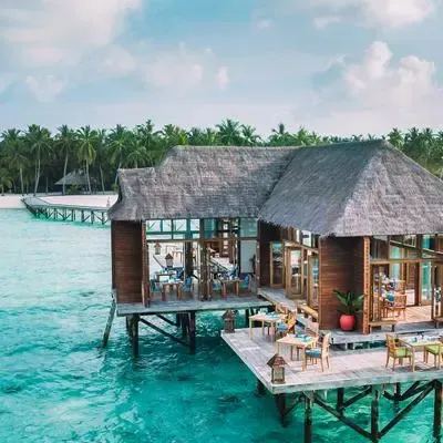 image-https://maldivus.ru/media/restaurants/106/image/400x400/-restaurant-7118.webp