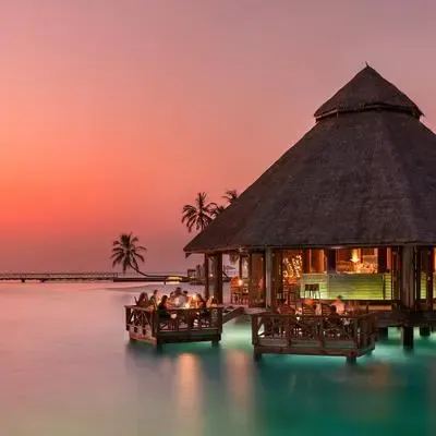 image-https://maldivus.ru/media/restaurants/107/image/400x400/-restaurant-19701.webp