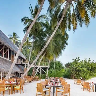 image-https://maldivus.ru/media/restaurants/108/image/400x400/-restaurant-69523.webp