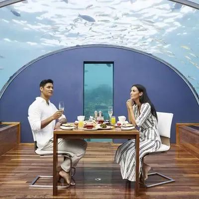 image-https://maldivus.ru/media/restaurants/109/image/400x400/-restaurant-28902.webp