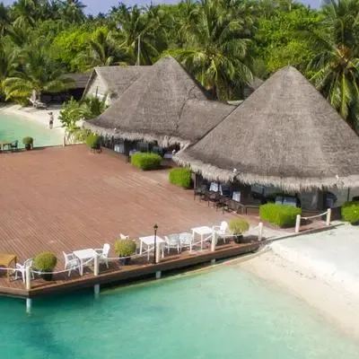 image-https://maldivus.ru/media/restaurants/11/image/400x400/-restaurant-85658.webp