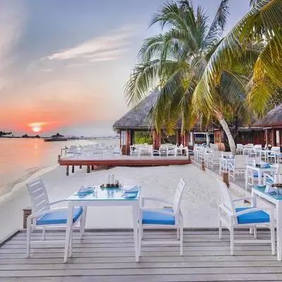 image-https://maldivus.ru/media/restaurants/112/image/400x400/-restaurant-12893.webp