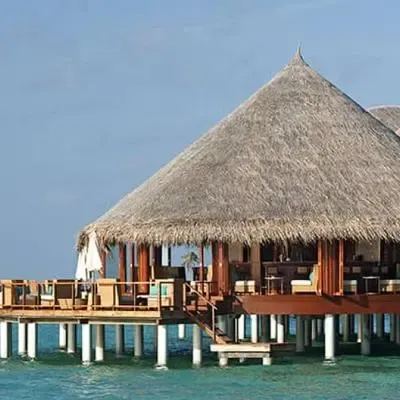image-https://maldivus.ru/media/restaurants/113/image/400x400/-restaurant-40505.webp