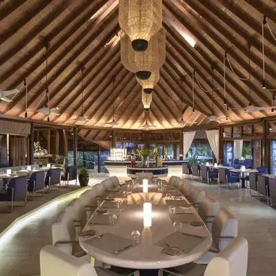 image-https://maldivus.ru/media/restaurants/114/image/400x400/-restaurant-78730.webp