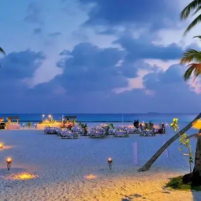 image-https://maldivus.ru/media/restaurants/115/image/400x400/-restaurant-11936.webp