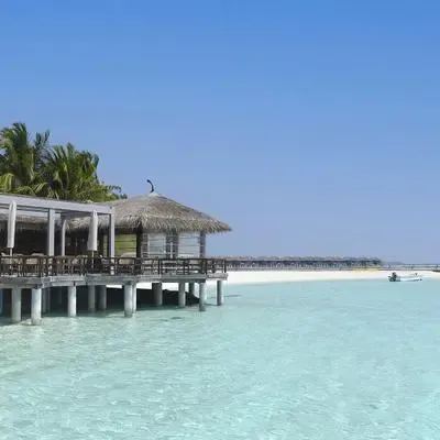 image-https://maldivus.ru/media/restaurants/117/image/400x400/-restaurant-11844.webp