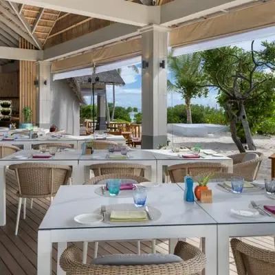 image-https://maldivus.ru/media/restaurants/121/image/400x400/-restaurant-24068.webp