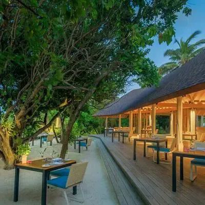image-https://maldivus.ru/media/restaurants/123/image/400x400/-restaurant-28711.webp