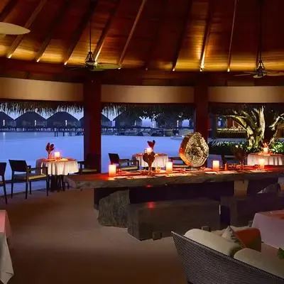 image-https://maldivus.ru/media/restaurants/128/image/400x400/-restaurant-9567.webp