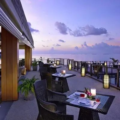 image-https://maldivus.ru/media/restaurants/129/image/400x400/-restaurant-24022.webp