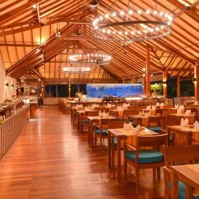 image-https://maldivus.ru/media/restaurants/13/image/400x400/-restaurant-74289.webp
