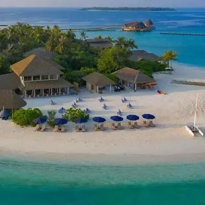 image-https://maldivus.ru/media/restaurants/132/image/400x400/-restaurant-63549.webp