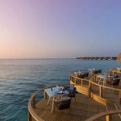 image-https://maldivus.ru/media/restaurants/134/image/400x400/-restaurant-60448.webp
