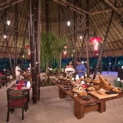 image-https://maldivus.ru/media/restaurants/139/image/400x400/-restaurant-85494.webp