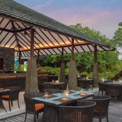 image-https://maldivus.ru/media/restaurants/14/image/400x400/-restaurant-75981.webp