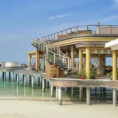 image-https://maldivus.ru/media/restaurants/145/image/400x400/-restaurant-96984.webp
