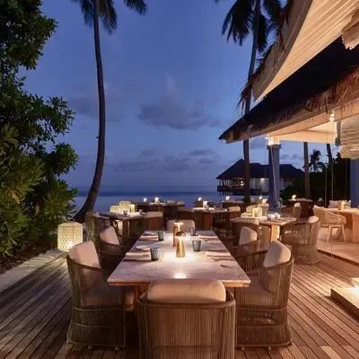 image-https://maldivus.ru/media/restaurants/147/image/400x400/-restaurant-64705.webp