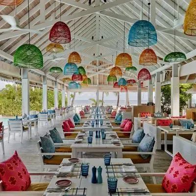 image-https://maldivus.ru/media/restaurants/148/image/400x400/-restaurant-13522.webp
