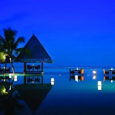 image-https://maldivus.ru/media/restaurants/151/image/400x400/-restaurant-71136.webp