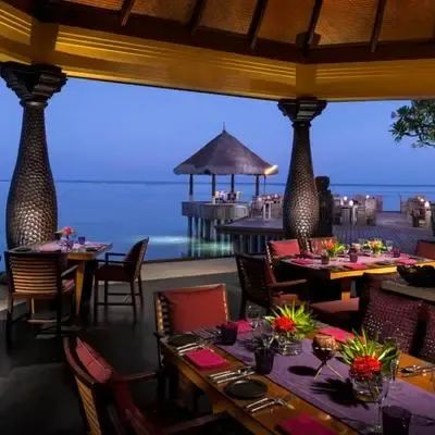 image-https://maldivus.ru/media/restaurants/153/image/400x400/-restaurant-13457.webp