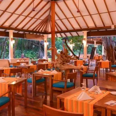 image-https://maldivus.ru/media/restaurants/16/image/400x400/-restaurant-58419.webp