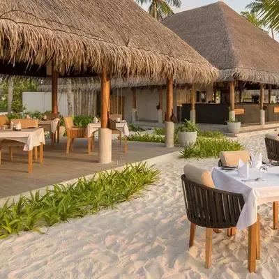 image-https://maldivus.ru/media/restaurants/162/image/400x400/-restaurant-85939.webp