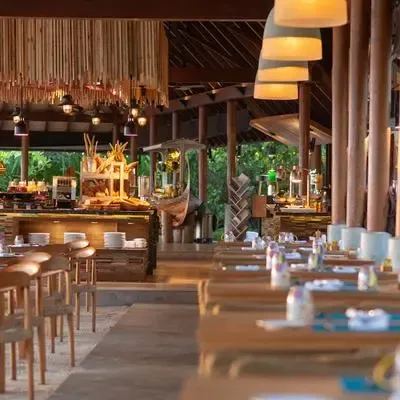 image-https://maldivus.ru/media/restaurants/164/image/400x400/-restaurant-55259.webp