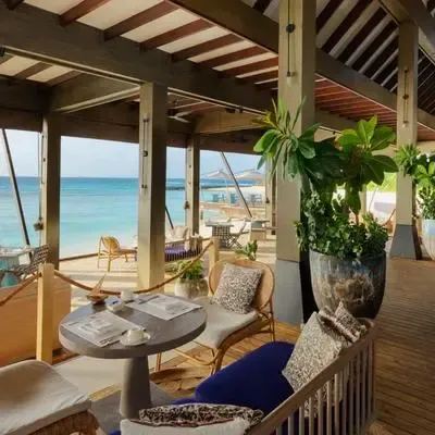 image-https://maldivus.ru/media/restaurants/168/image/400x400/-restaurant-97197.webp