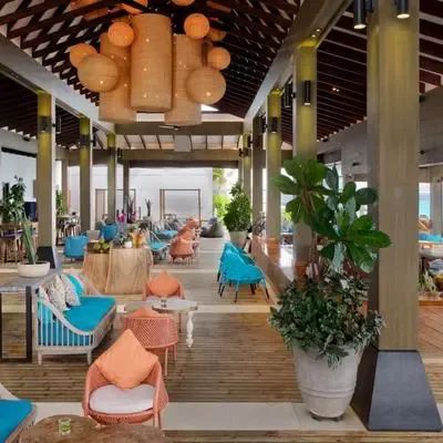 image-https://maldivus.ru/media/restaurants/169/image/400x400/-restaurant-84459.webp