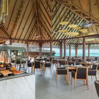 image-https://maldivus.ru/media/restaurants/175/image/400x400/-restaurant-28289.webp