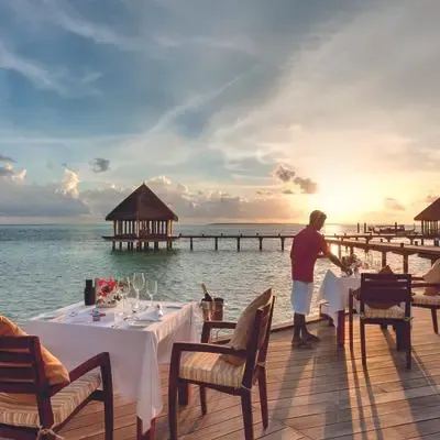 image-https://maldivus.ru/media/restaurants/182/image/400x400/-restaurant-11180.webp