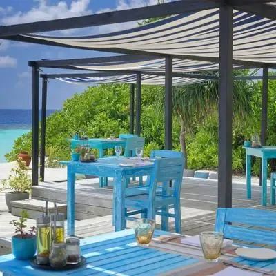 image-https://maldivus.ru/media/restaurants/19/image/400x400/-restaurant-2377.webp