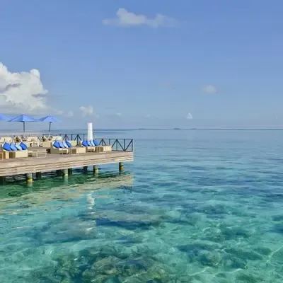 image-https://maldivus.ru/media/restaurants/197/image/400x400/-restaurant-73175.webp