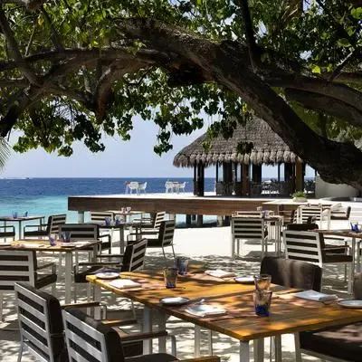 image-https://maldivus.ru/media/restaurants/198/image/400x400/-restaurant-78825.webp