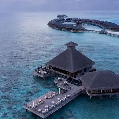 image-https://maldivus.ru/media/restaurants/199/image/400x400/-restaurant-76219.webp